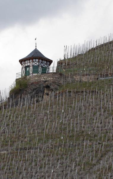 Weingut & Gaestehaus Schmitz-Bergweiler Bernkastel-Kues Eksteriør billede
